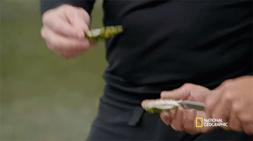 A National Geographic Logo Can Be Seen On A Person 'S Sleeve GIF
