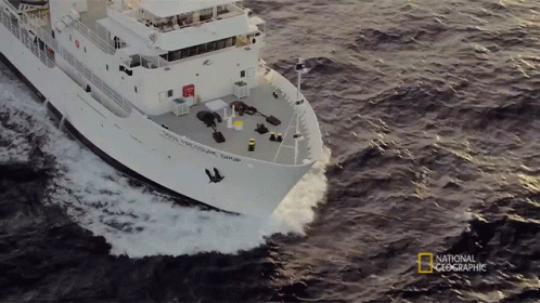 A National Geographic Logo Can Be Seen On The Bottom Of A Boat GIF
