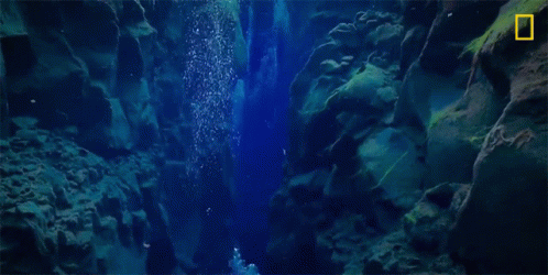 National Geographic Logo At Bottom GIF