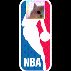A Nba Logo With A Cat In The Middle GIF