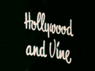 a neon sign for the hollywood theater is lit up at night