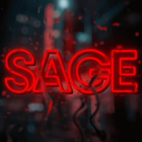 A Neon Sign That Says The Word Sage On It GIF