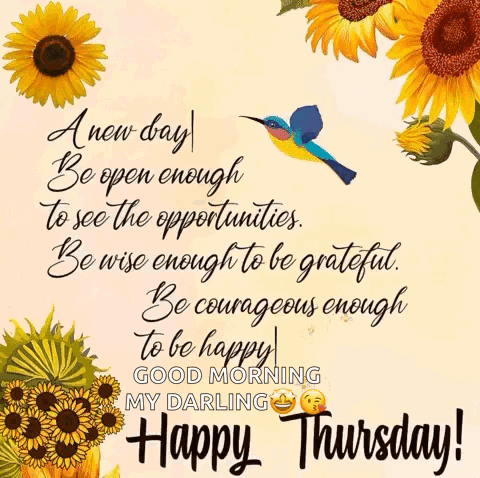 A New Day Open Enough to See the Opportunities Be Wise Enough to Be Grateful