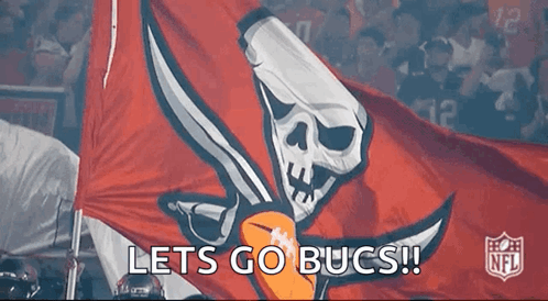 A Nfl Flag With A Skull And Crossbones On It GIF