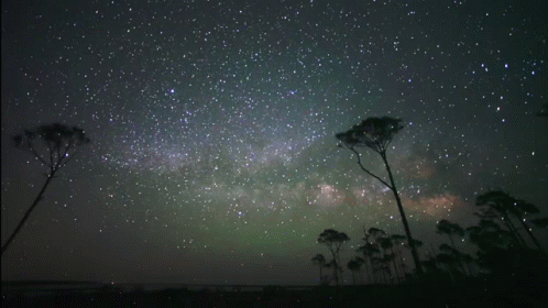 A Night Sky Filled With Lots Of Stars With Trees In The Foreground GIF