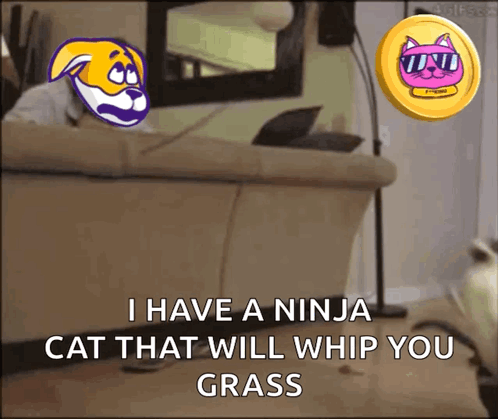 A Ninja Cat That Will Whip You Grass Is Shown In A Cartoon GIF