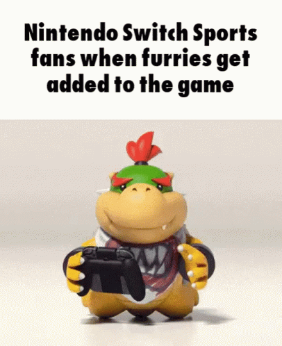 A Nintendo Switch Sports Fans When Furries Get Added To The Game . GIF