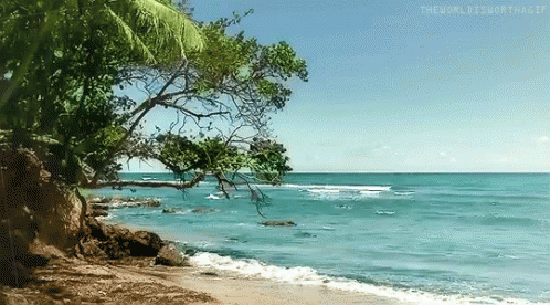A Painting Of A Beach With A Tree In The Foreground And The Words " The World Is Worthwhile " On The Bottom GIF