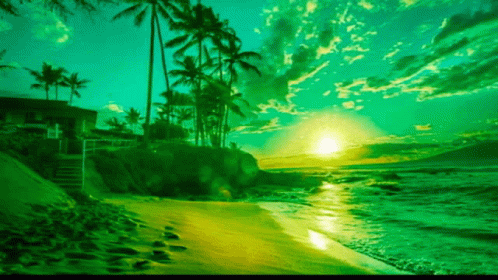 A Painting Of A Beach With Palm Trees And A Sunset In The Background GIF