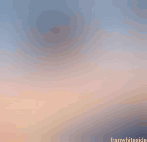 A Painting Of A Bird Flying In The Sky With Franwhiteside Written On The Bottom GIF