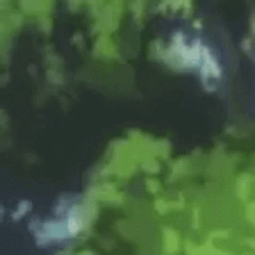 A Painting Of A Butterfly Flying Through The Trees GIF