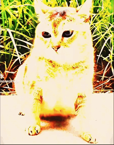 A Painting Of A Cat With A Watermark That Says ' Neiwarrior ' On It GIF