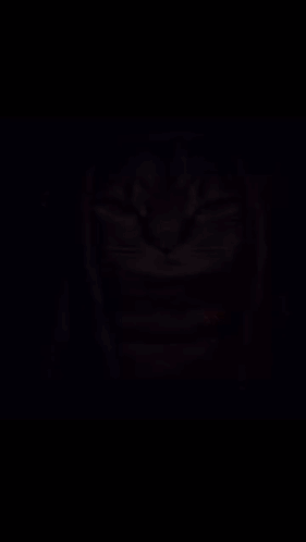 A Painting Of A Cat With Dreadlocks On It 'S Head GIF