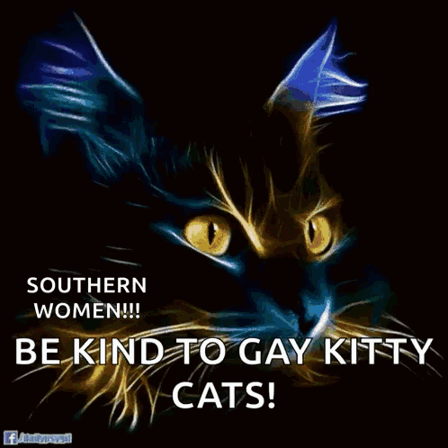 A Painting Of A Cat With The Words " Be Kind To Gay Kitty Cats " On It GIF