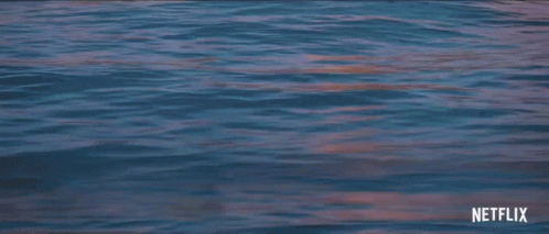 A Painting Of A City By The Water With Netflix Written In The Corner GIF