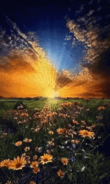 A Painting Of A Field Of Flowers With The Sun Shining Through The Clouds GIF