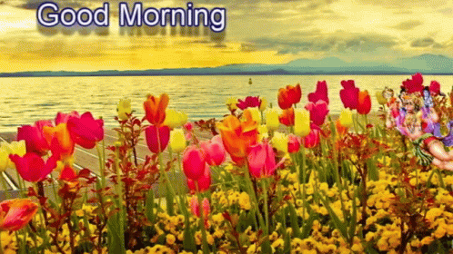A Painting Of A Field Of Flowers With The Words Good Morning GIF