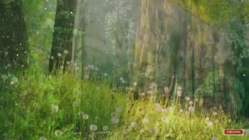 A Painting Of A Forest With A Red Subscribe Button In The Corner GIF
