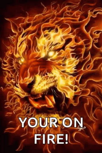 A Painting Of A Lion Surrounded By Flames With The Words `` Your On Fire '' Below It . GIF