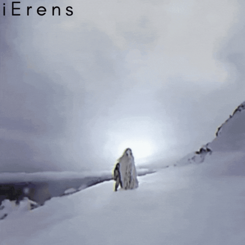A Painting Of A Person Standing In The Snow With The Words Ierens On The Bottom GIF