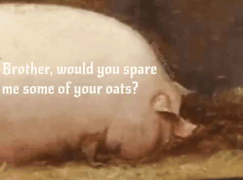 A Painting Of A Pig With A Caption That Says Brother Would You Spare Me Some Of Your Oats GIF