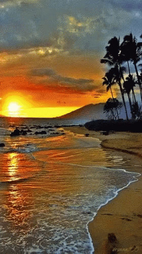 A Painting Of A Sunset On A Beach With Palm Trees GIF