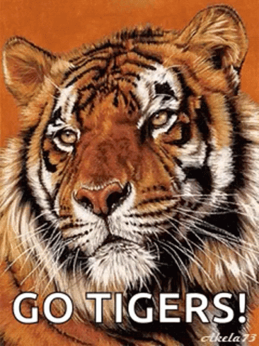 A Painting Of A Tiger With The Words Go Tigers Written Below It GIF