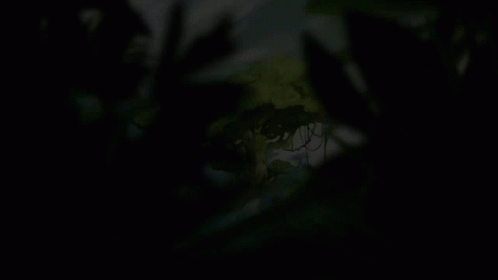A Painting Of A Tree In The Woods GIF