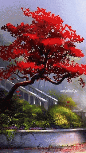 A Painting Of A Tree With Red Leaves And The Name Morphinclips On The Bottom GIF