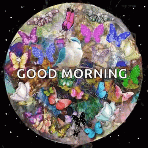 A Painting Of Butterflies And A Bird With The Words Good Morning Written On It GIF