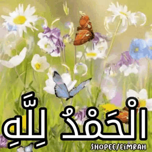 A Painting Of Flowers And Butterflies With The Words Shopee / Eimrah GIF