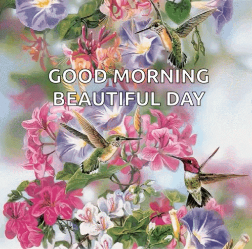 A Painting Of Hummingbirds And Flowers With The Words " Good Morning Beautiful Day " On The Bottom GIF