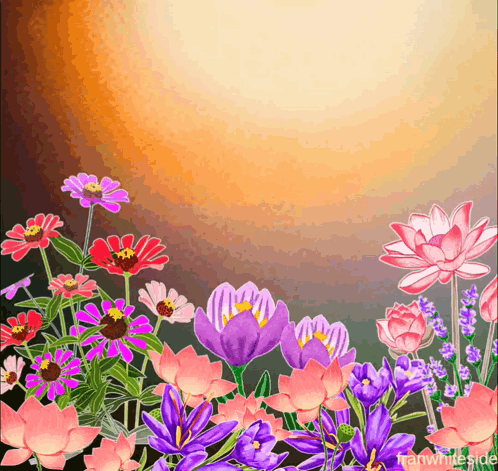 a painting of pink and purple flowers with the words franwhiteside below them