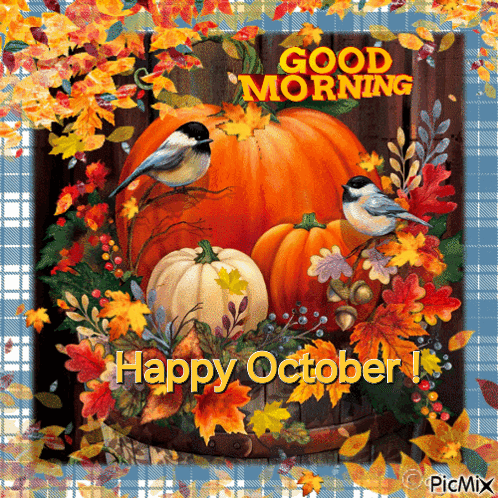 A Painting Of Pumpkins And Leaves With The Words " Good Morning Happy October " GIF