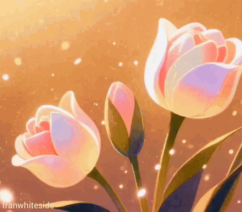 a painting of three flowers with the name franwhiteside on the bottom right