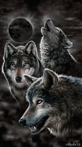 A Painting Of Three Wolves Howling At The Moon By Aktela73 GIF