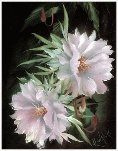 A Painting Of Two White Flowers With The Name Kowalski On The Bottom Right GIF