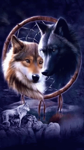 A Painting Of Two Wolves In A Dream Catcher With One Looking At The Other GIF