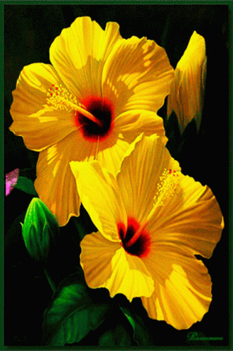 A Painting Of Two Yellow Flowers With A Red Center And A Green Border GIF