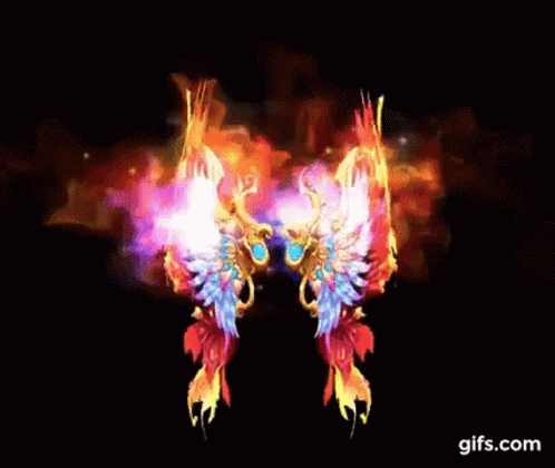 A Pair Of Colorful Butterfly Wings With Fire Coming Out Of Them On A Black Background . GIF