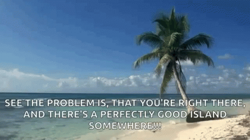 A Palm Tree On A Beach With The Words " See The Problem Is That You 'Re Right There " Below It GIF