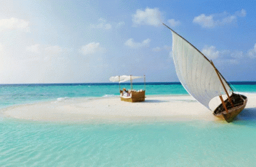A Palm Tree On A Small Island In The Middle Of The Ocean GIF
