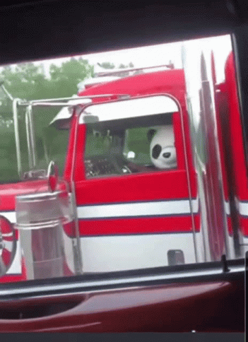 A Panda Bear Is Sitting In The Driver 'S Seat Of A Red And White Truck GIF