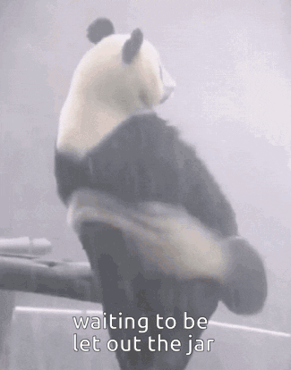 A Panda Bear Is Sitting On A Branch With The Words `` Waiting To Be Let Out The Jar '' Written On It . GIF