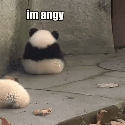Panda Sitting On Ground Looking At Something GIF