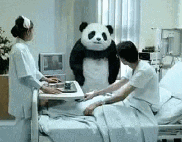 A Panda Bear Is Standing In A Hospital Room Next To A Man In A Hospital Bed . GIF