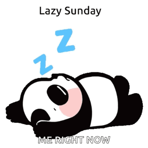 A Panda Bear Laying Down With The Words " Lazy Sunday Me Right Now " Above It GIF