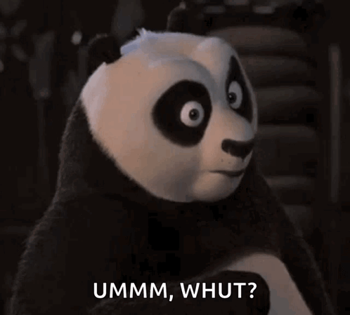 A Panda Bear Says Ummm Whut In A Dark Room GIF