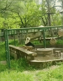 A Panda Bear Sitting On A Rocking Chair In A Park GIF