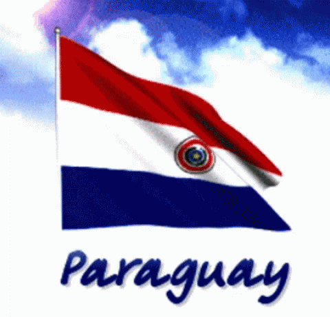 a paraguay flag is waving in the wind against a blue sky